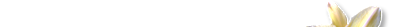 Total Health Secrets Web Logo